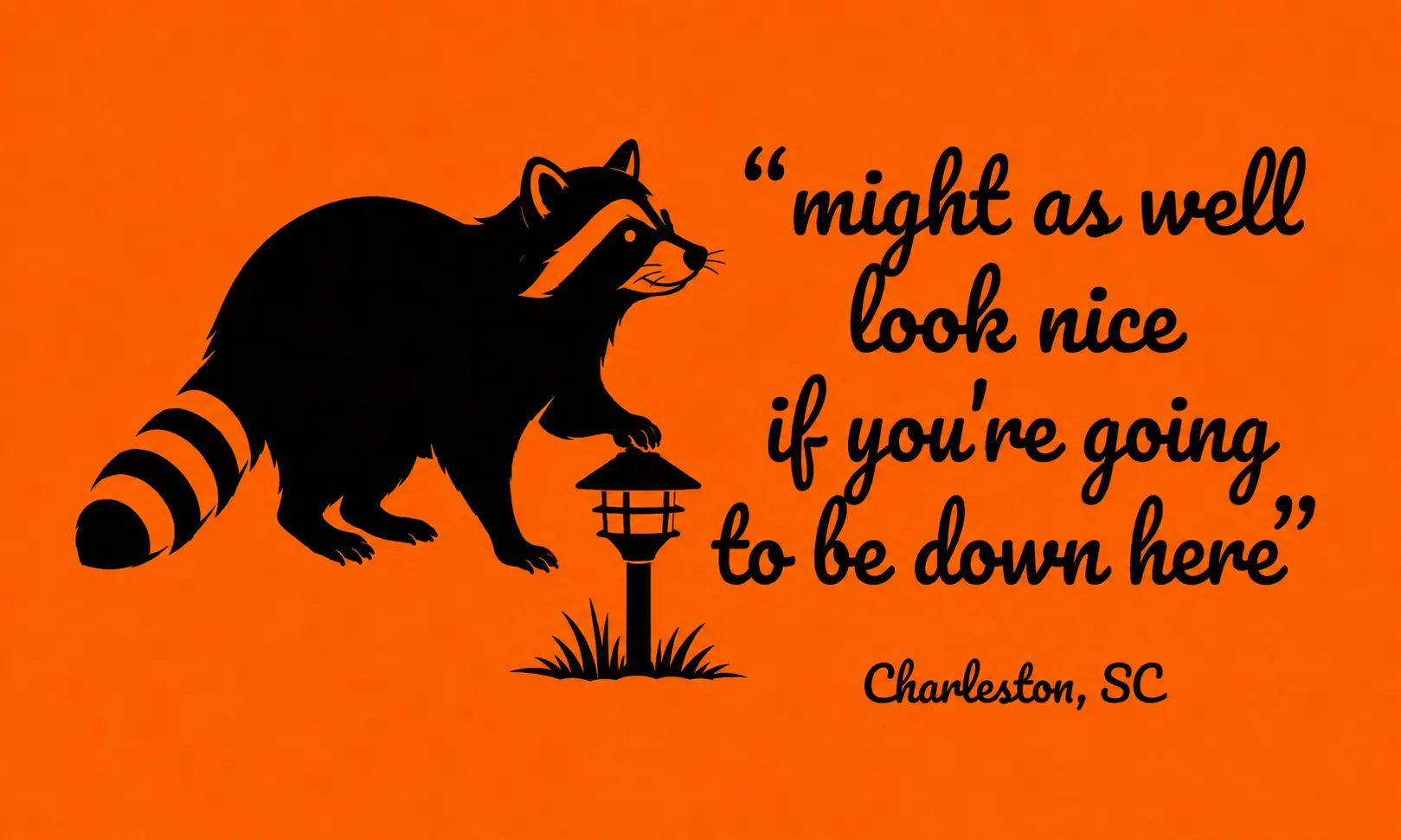 Ace Basin Landscape Lighting raccoon brand card with Charleston SC tagline and path light illustration