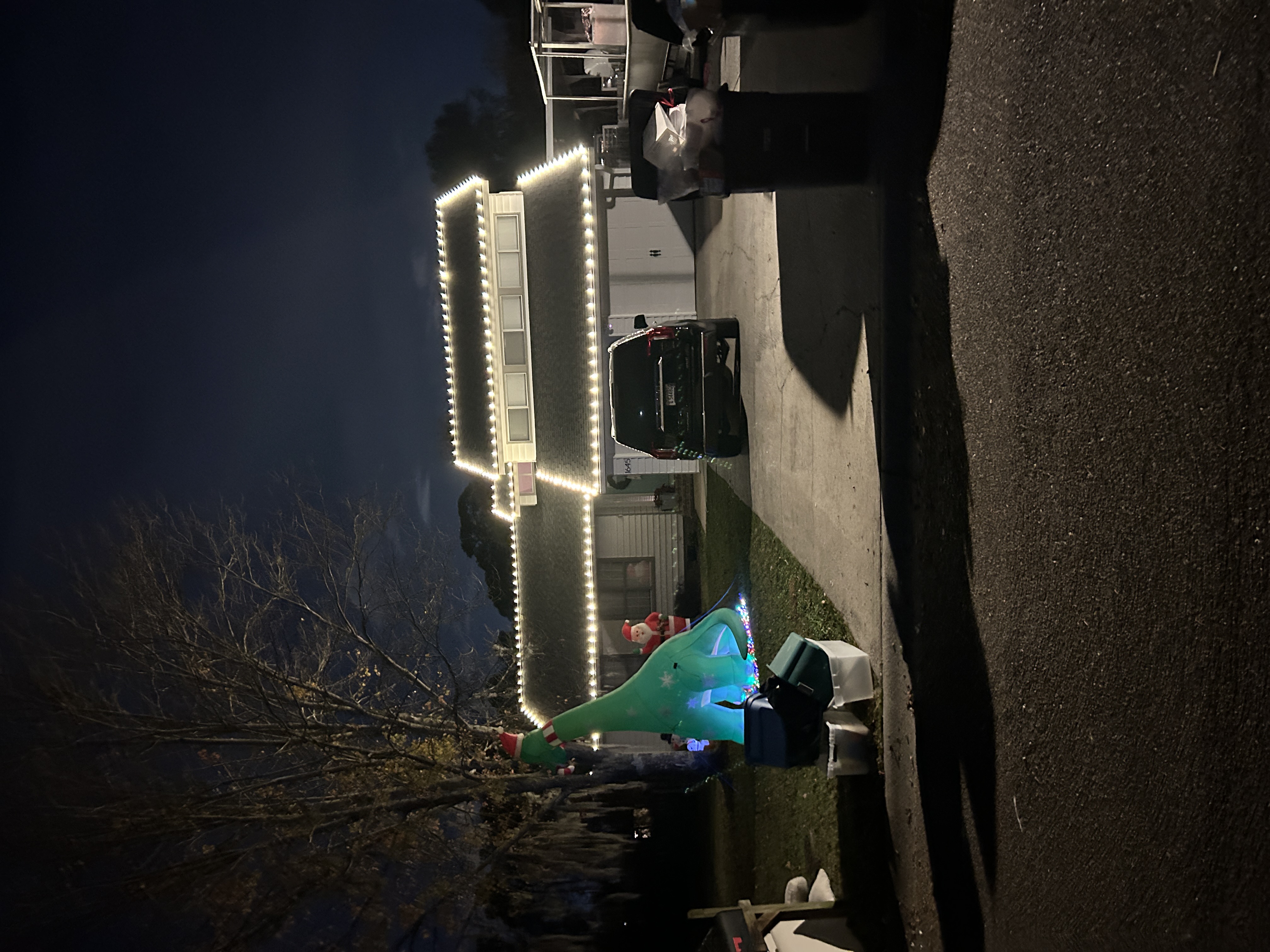 Charleston home with warm Christmas lights installed along the roofline and landscaping at night