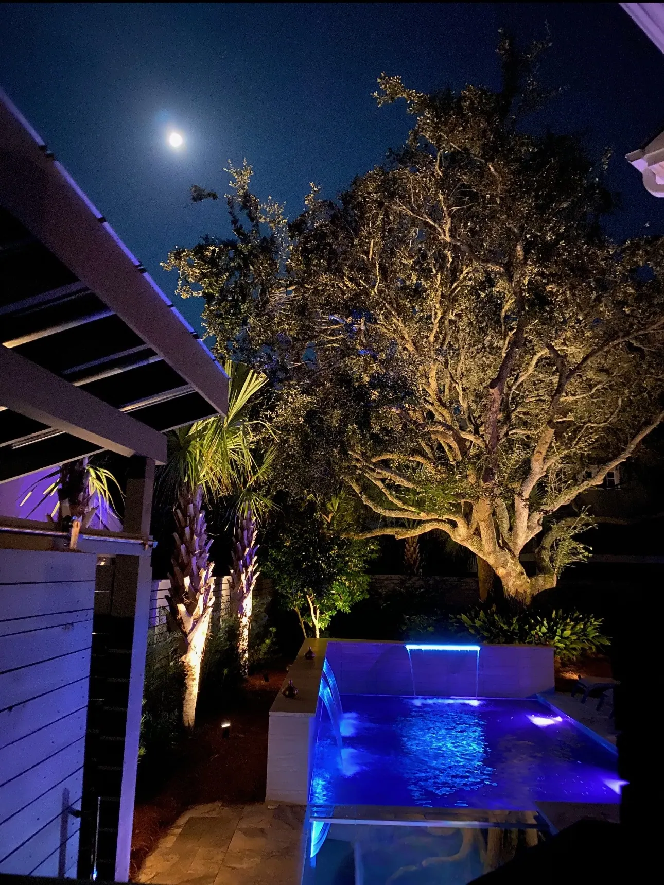 Custom pool area lighting with warm tree uplighting around a Charleston outdoor living space at night
