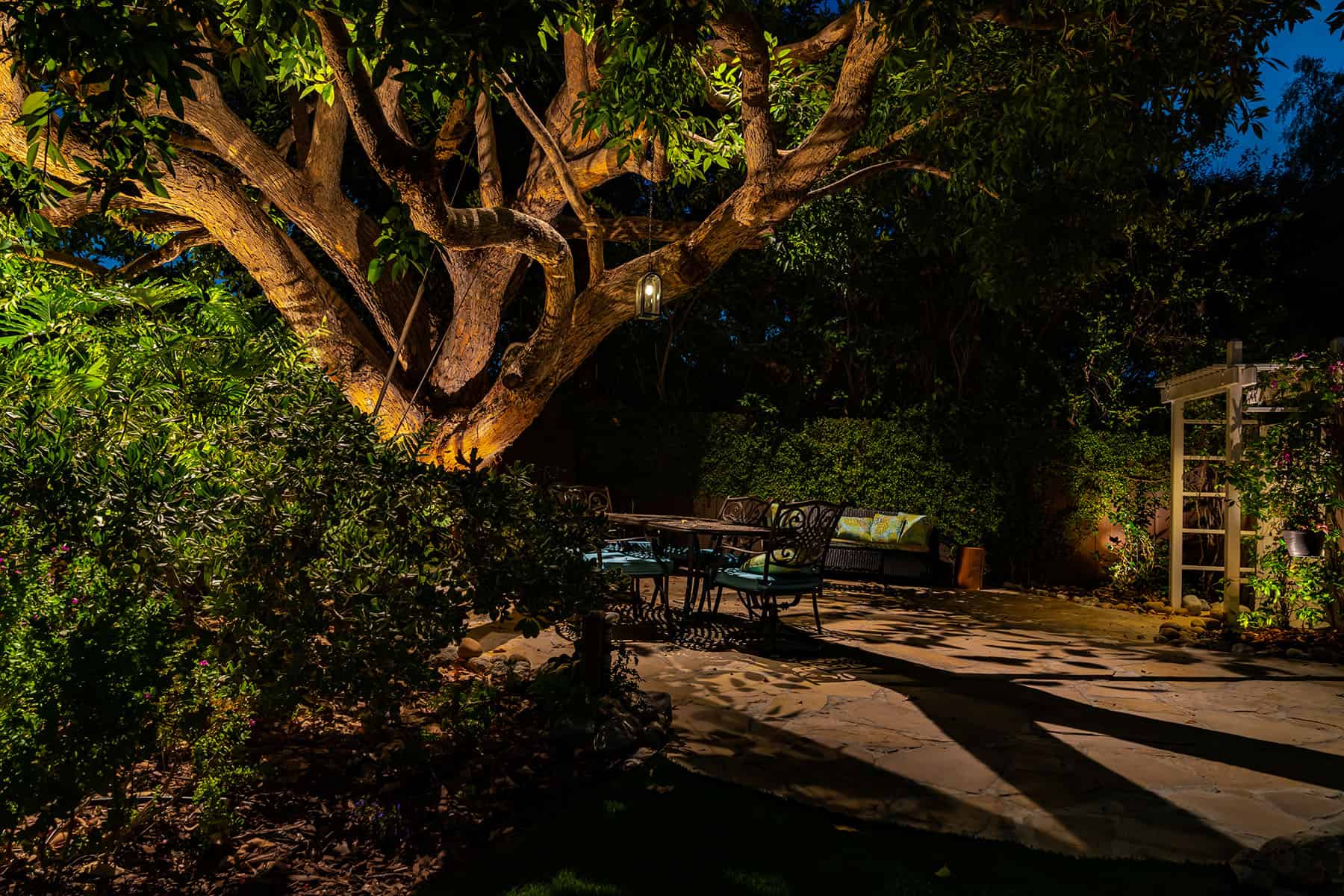Warm uplighting highlighting a live oak tree trunk and branches in a Charleston backyard