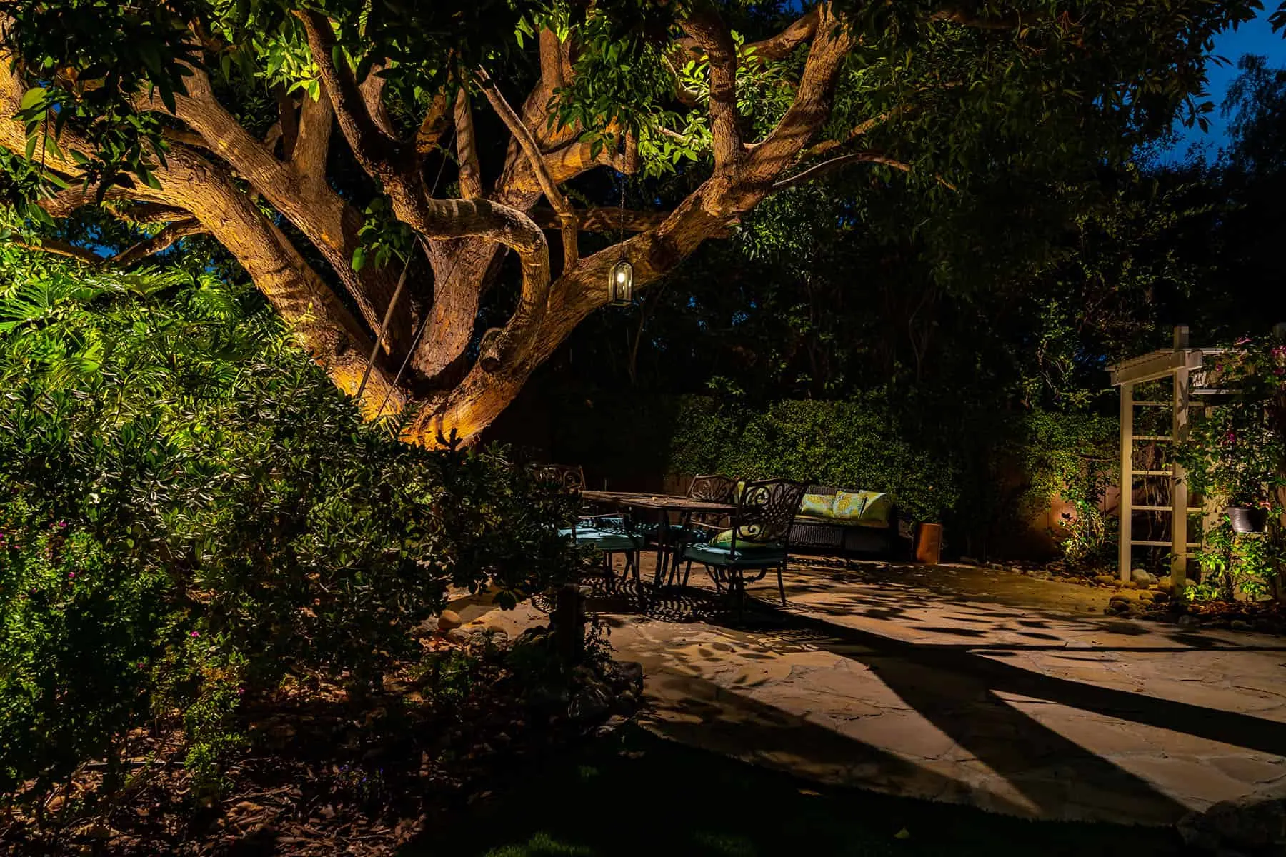 Warm uplighting highlighting a live oak tree trunk and branches in a Charleston backyard