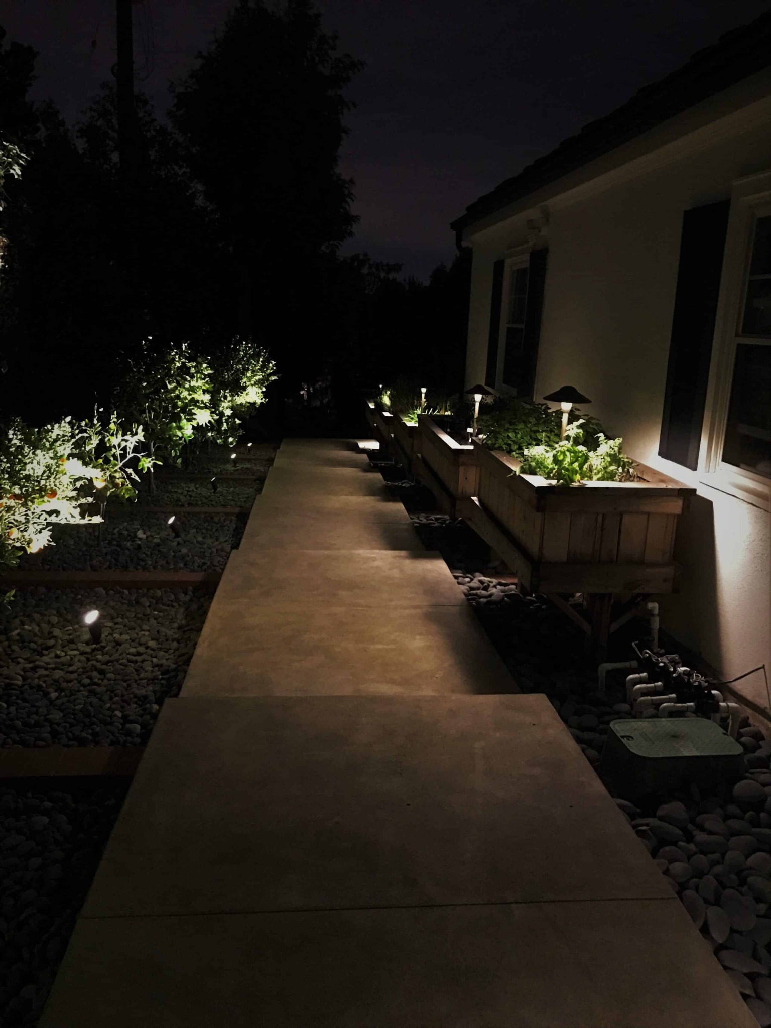 Existing landscape lighting along a walkway and planting beds at night ready for repair or maintenance in Charleston SC