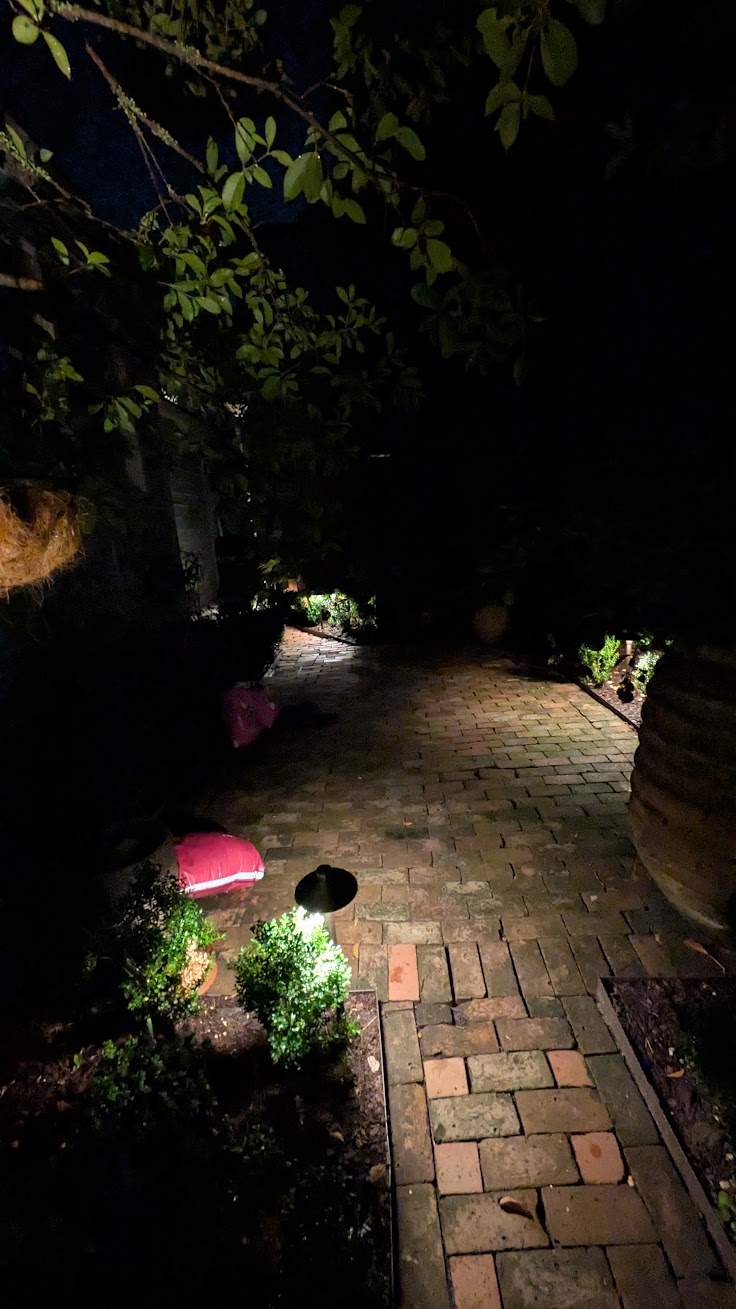 Warm path lighting at a Wagener Terrace property in Charleston SC