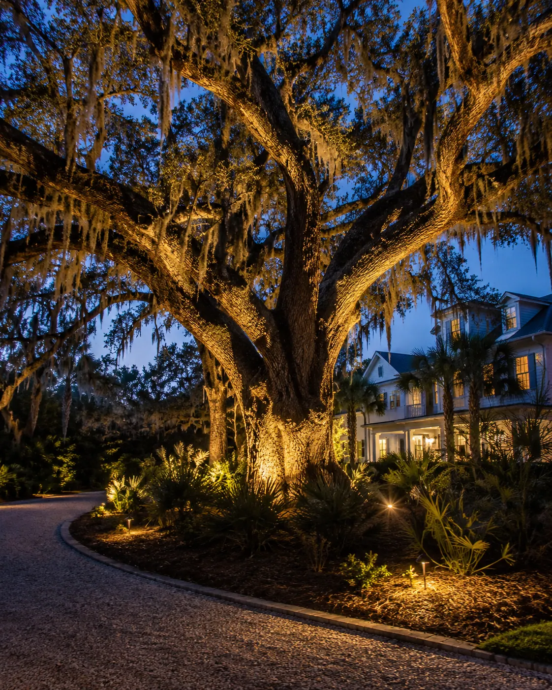 Massive live oak tree with Spanish moss illuminated by warm uplighting at a Charleston property